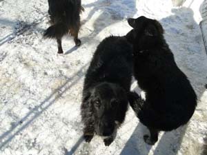 Mapbella's Magic Delapagaille