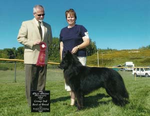 Ch. Surelock Pagaille Mapbella