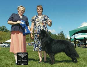 Ch. Surelock Pagaille Mapbella