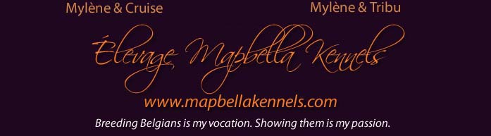 Élevage Mapbella Kennels