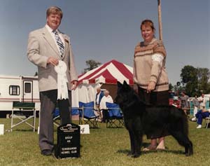 Gone but not Forgotten Teea